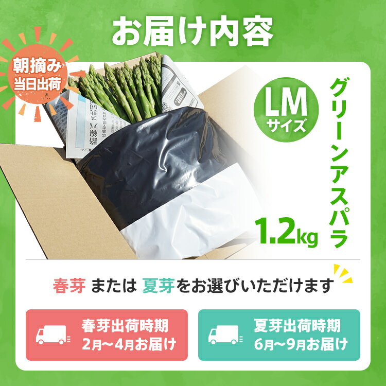 【ふるさと納税】数量限定 アスパラ LMサイズ 1.2kg 選べる 春芽／夏芽　朝採り 朝採れ 直送 グリーンアスパラガス アスパラ　BT03 BT07 BT-S0003 - 画像3