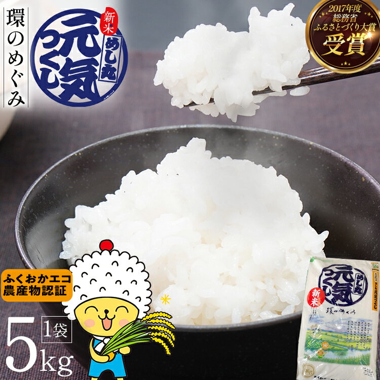 令和7年度米 特別栽培米「環のめぐみ」　精米5kg おすすめ 福岡県 大木町 AI001-1