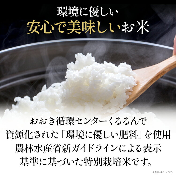【ふるさと納税】令和7年度米 特別栽培米「環のめぐみ」　精米5kg おすすめ 福岡県 大木町 AI001-1 - 画像2