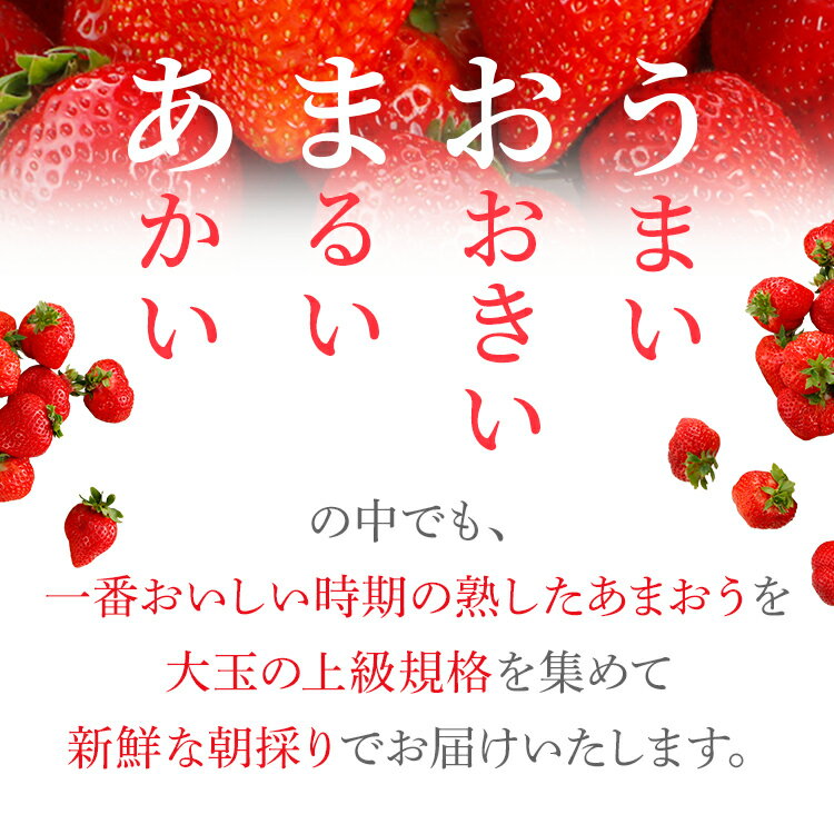 【ふるさと納税】あまおうプレミアム いちご 苺 イチゴ フルーツキャップ 梱包 ギフト 贈答用【2026年1月〜2月頃発送予定】 福岡県 大木町 池上農園 BD02 サムネイル3