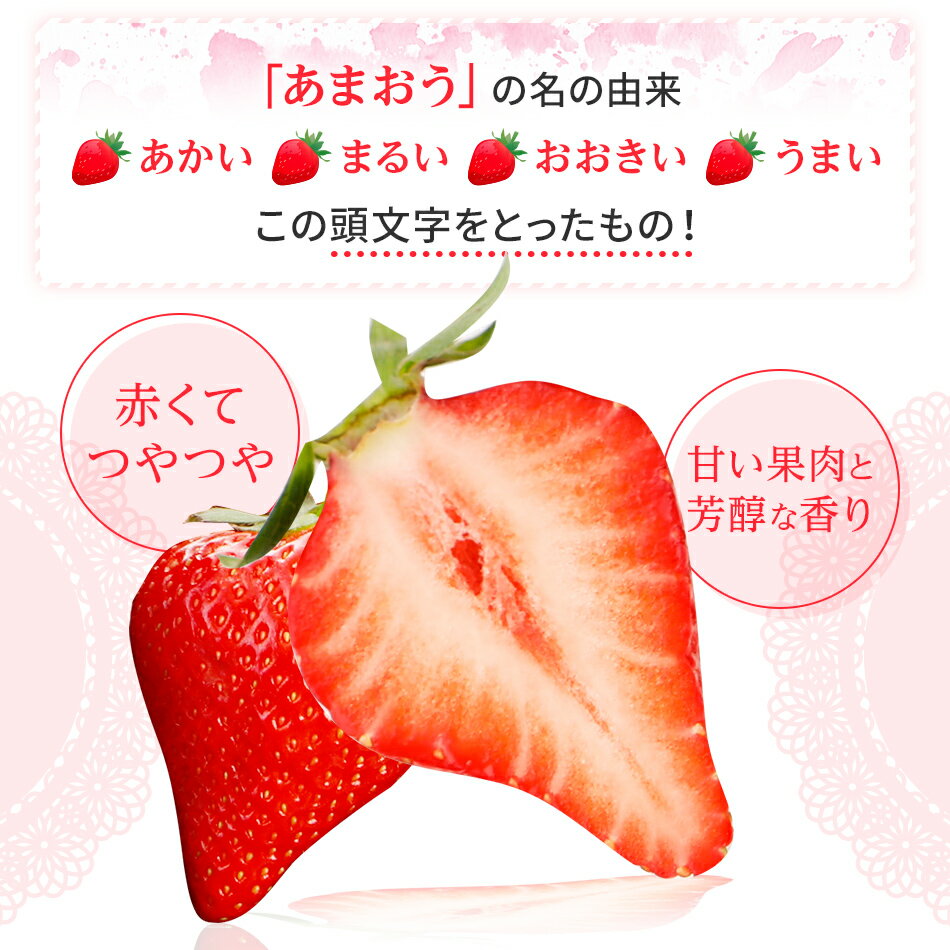 【ふるさと納税】あまおうピューレ100g×10個入 いちご ソース デザート 福岡県 大木町 BD09 サムネイル3