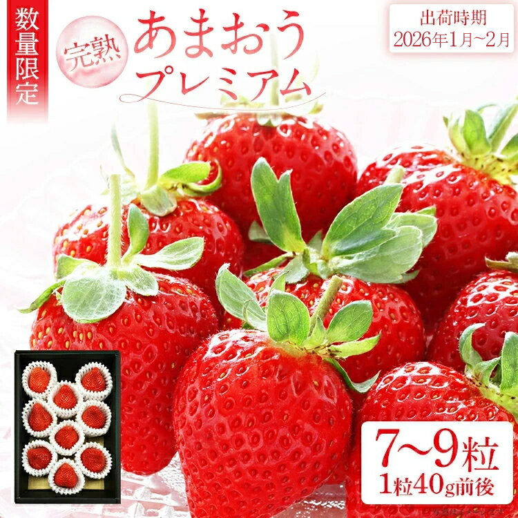 あまおうプレミアム いちご 苺 イチゴ フルーツキャップ 梱包 ギフト 贈答用【2026年1月〜2月頃発送予定】 福岡県 大木町 池上農園 BD02