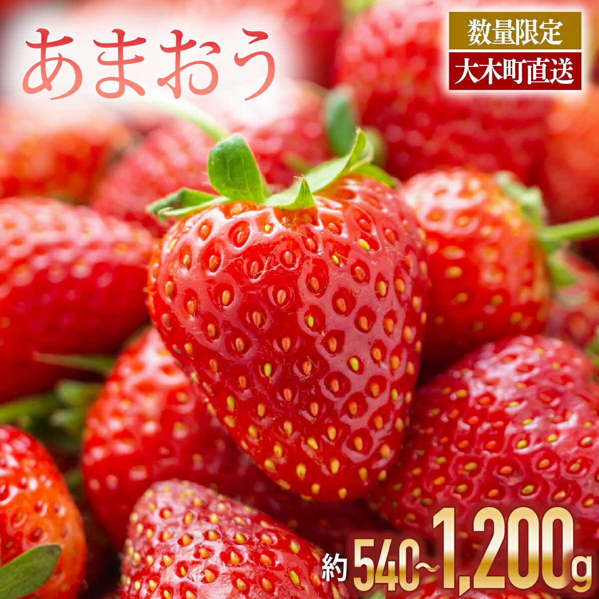 【アフター保証】《事業者と容量が選べる! 》いちご あまおう 大木町 合計540〜1200g 【2026年1月～4月に順次出荷予定】 苺 イチゴ あかい まるい おおきい うまい おすすめ CB223 9000円 10000円 果物 CB223 AG010 BD01-2 BJ04 CL001