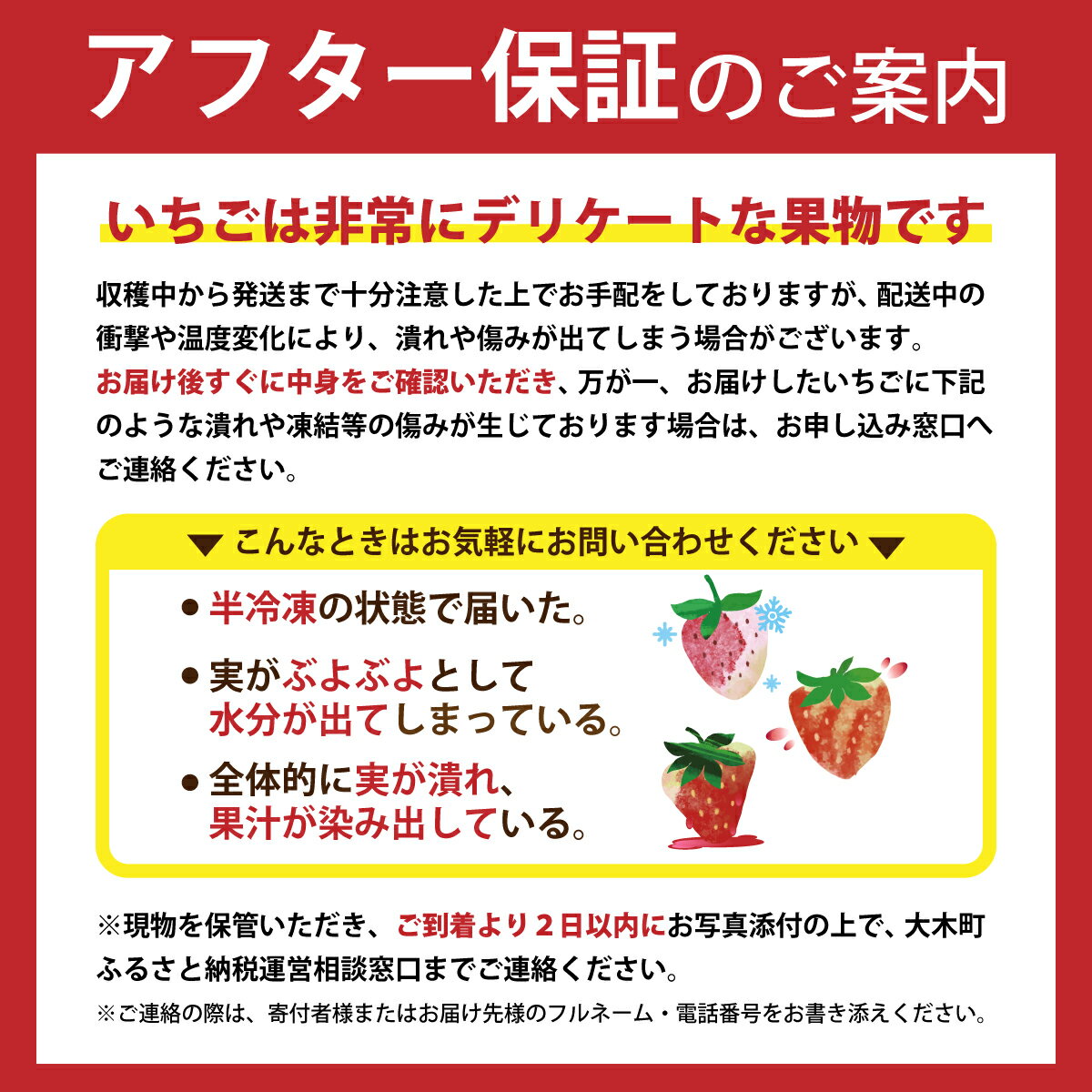 【ふるさと納税】【アフター保証】いちご あまおう 大木町 約270g×4パック 合計1080g 【2026年1月～3月に順次出荷予定】 イチゴ あかい まるい おおきい うまい おすすめ CB223 9000円 10000円以下 果物 CB223 サムネイル3
