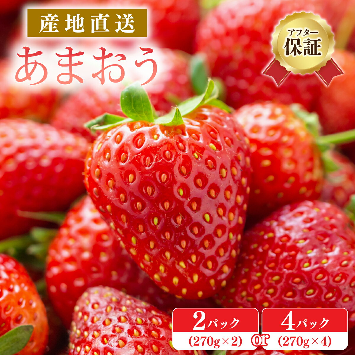 【アフター保証】《先行予約》いちご あまおう 大木町 合計540〜1200g 【2027年1月〜3月に順次出荷予定】 苺 イチゴ あかい まるい おおきい うまい おすすめ CB223 9000円 10000円 果物 CB223