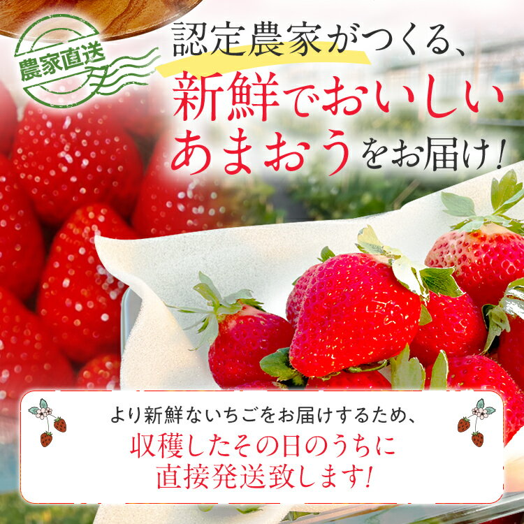 【ふるさと納税】【先行予約/2026年】大木町産 あまおう いちご 約270g×4パック《2026年2月以降順次発送》 イチゴ 苺 果物 おすすめ 福岡県 大木町 CL001 サムネイル2