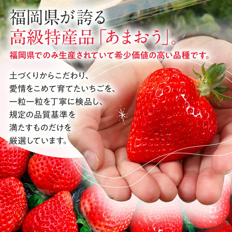 【ふるさと納税】【先行予約/2026年】大木町産 あまおう いちご 約270g×4パック《2026年2月以降順次発送》 イチゴ 苺 果物 おすすめ 福岡県 大木町 CL001 サムネイル3