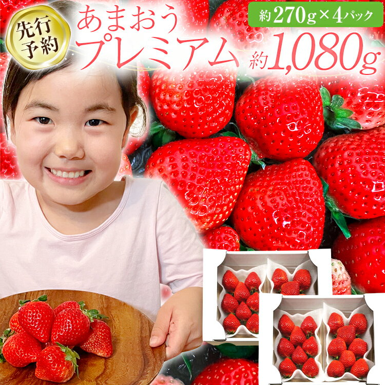 【先行予約/2026年】大木町産 あまおう いちご 約270g×4パック《2026年2月以降順次発送》 イチゴ 苺 果物 おすすめ 福岡県 大木町 CL001