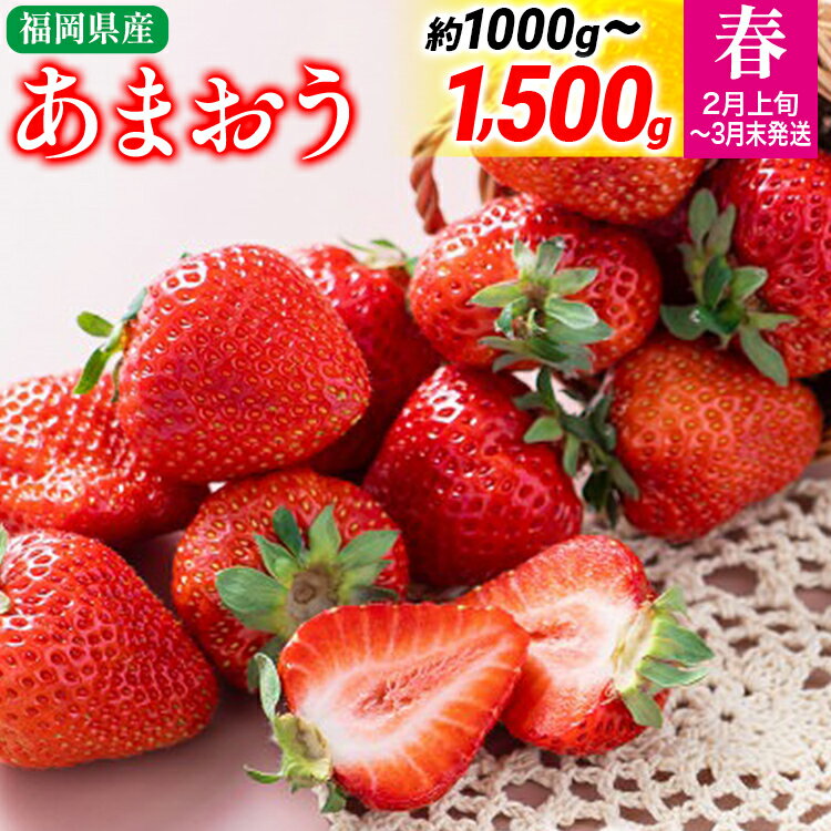 福岡産【春】あまおう 量が選べる 約1000g 約1500g いちご 苺 果物 フルーツ 九州産 福岡県産 【2026年2月上旬から2026年3月末にかけて順次発送】デザート イチゴ 国産 ※北海道・沖縄・離島は配送不可 大木町産 南国フルーツ CO003 CO004