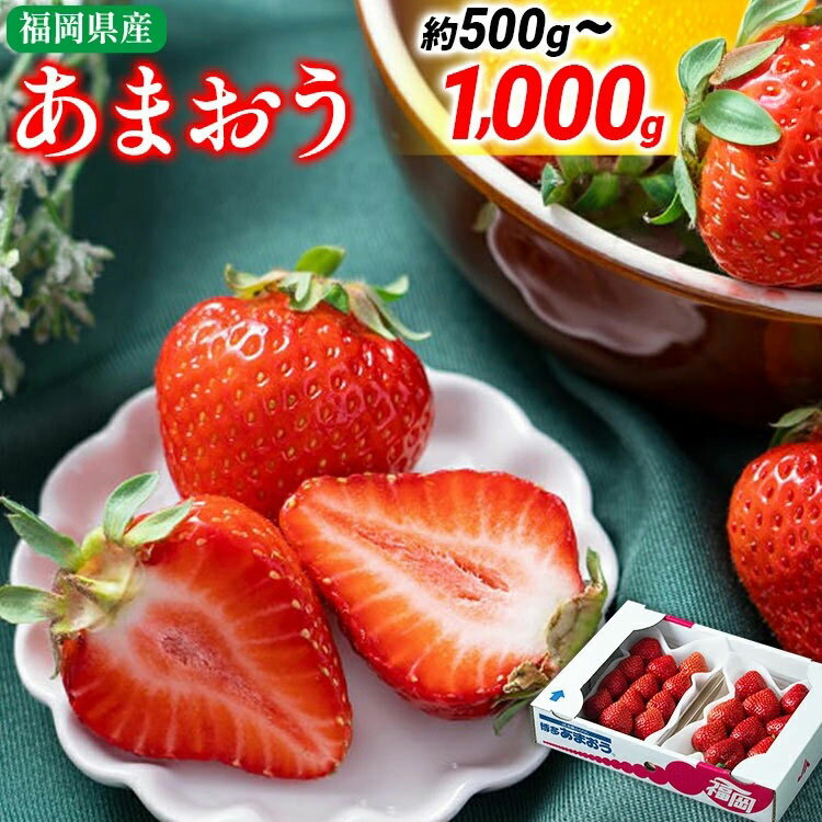 福岡産【冬】あまおう 量が選べる 約500g 約1000g いちご 苺 九州産 福岡県産 冷蔵 送料無料 【2025年12月上旬から2026年1月末にかけて順次発送】 イチゴ フルーツ 果物 くだもの ※北海道・沖縄・離島は配送不可 大木町産 南国 フルーツCO001 CO002