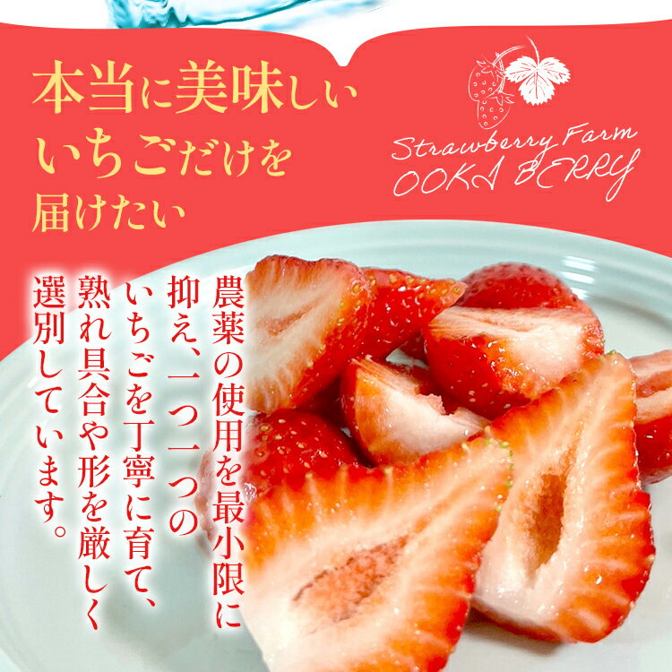 【ふるさと納税】期間限定 いちご あまおう 苺 イチゴ 1kg あまおう（大玉）、4パック（270g/パック） 【2026年1月～3月順次発送】 フルーツ 果物 くだもの 大玉 ※北海道・沖縄・離島は配送不可 大木町産 おおきベリー CT004 サムネイル3