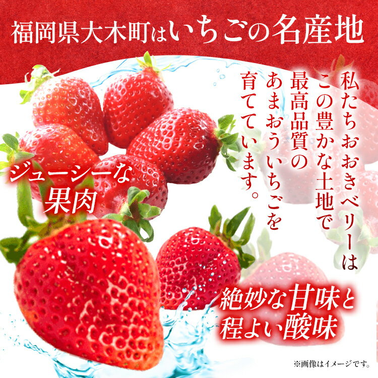 【ふるさと納税】【訳あり】 期間限定 いちご 苺 1.3kg 【訳あり品】あまおう（小玉）、4パック（330g/パック）【2026年3月～4月順次配送】 フルーツ 果物 訳あり 小玉 ※北海道・沖縄・離島は配送不可 大木町産 おおきベリー CT005 サムネイル2