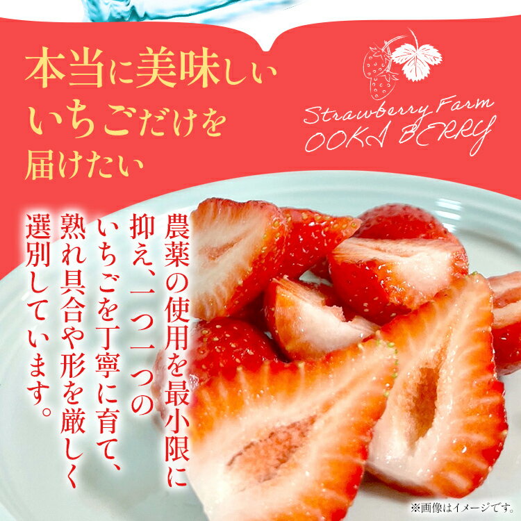 【ふるさと納税】【訳あり】 期間限定 いちご 苺 1.3kg 【訳あり品】あまおう（小玉）、4パック（330g/パック）【2026年3月～4月順次配送】 フルーツ 果物 訳あり 小玉 ※北海道・沖縄・離島は配送不可 大木町産 おおきベリー CT005 サムネイル3