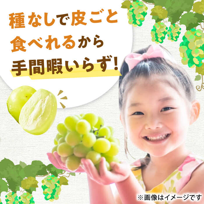 【ふるさと納税】【★先行予約★ 2026年8月下旬以降発送】シャインマスカット 約1.4kg 産地直送 果物 くだもの 旬 広川町 / JAふくおか八女農産物直売所どろや[AFAB007] サムネイル3