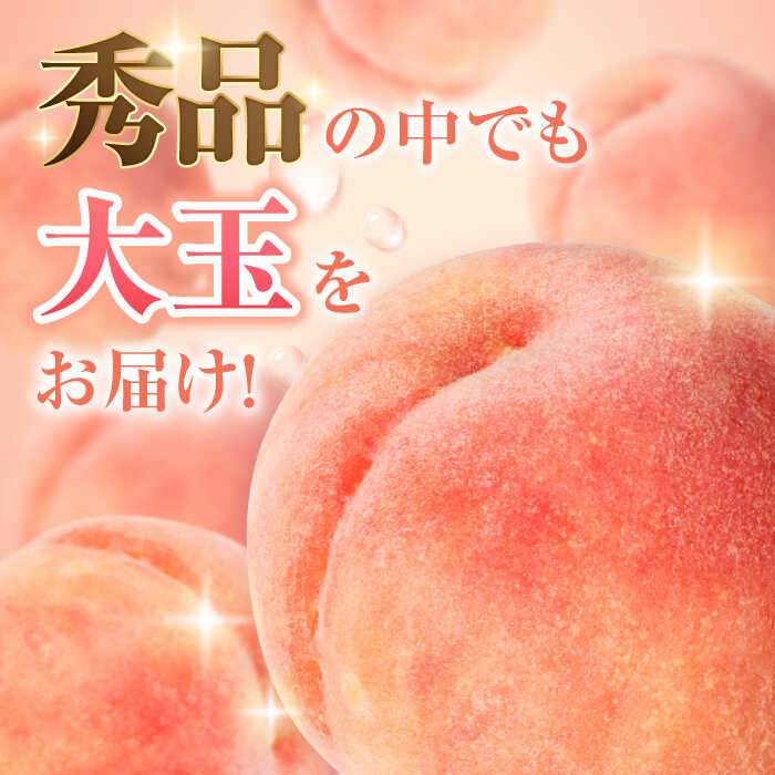 【ふるさと納税】【★先行予約★ 2026年5月下旬より発送】【選べる容量】桃 化粧箱入り 果物 くだもの もも 広川町 / JAふくおか八女農産物直売所どろや[AFAB011] サムネイル2