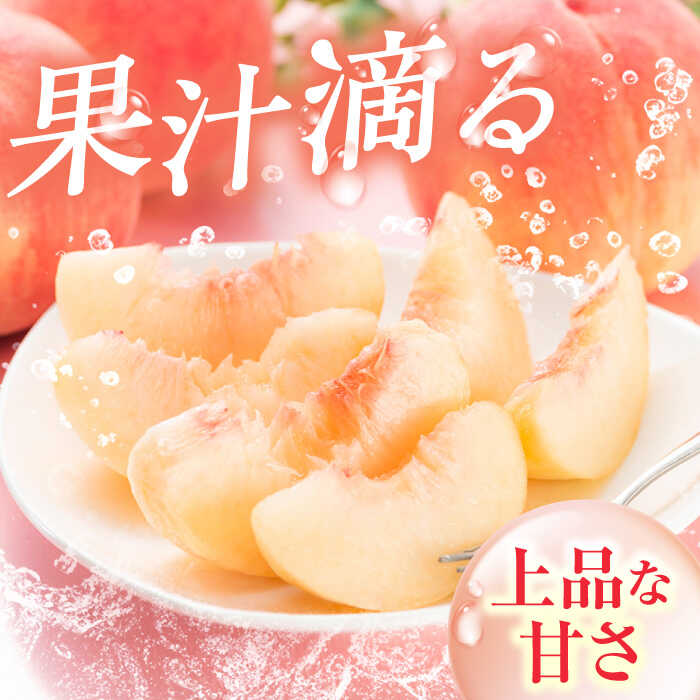 【ふるさと納税】【★先行予約★ 2026年5月下旬より発送】【選べる容量】桃 化粧箱入り 果物 くだもの もも 広川町 / JAふくおか八女農産物直売所どろや[AFAB011] サムネイル3