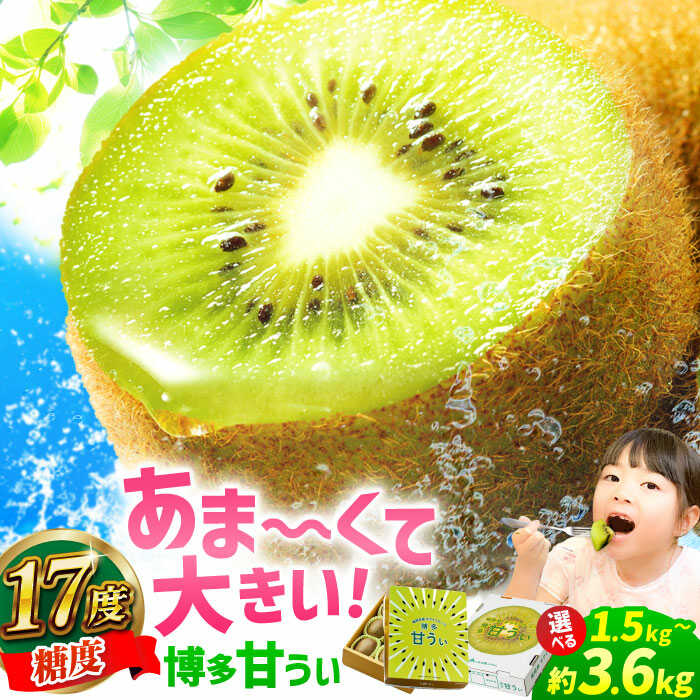 【★先行予約★　2025年11月上旬より発送】〈選べる容量〉福岡県ブランド! キウイフルーツ 博多甘うぃ 約1.5kg～約3.6kg 果物 くだもの 広川町 / JAふくおか八女農産物直売所どろや[AFAB013]