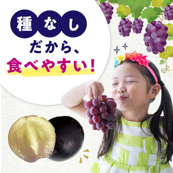 【ふるさと納税】【★先行予約★ 2026年7月中旬より発送】 種なし巨峰 約1.4kg ブドウ ぶどう 葡萄 きょほう グレープ 広川町 / JAふくおか八女農産物直売所どろや[AFAB017] サムネイル3