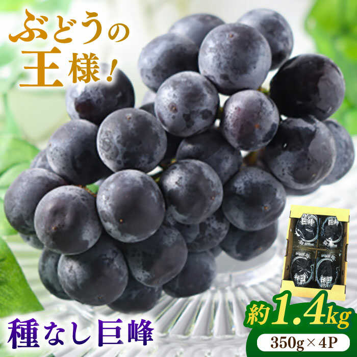 【★先行予約★ 2026年7月中旬より発送】 種なし巨峰 約1.4kg ブドウ ぶどう 葡萄 きょほう グレープ 広川町 / JAふくおか八女農産物直売所どろや[AFAB017]