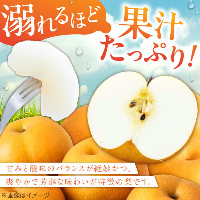【ふるさと納税】【★先行予約★ 2026年8月下旬より発送】梨(豊水) 約5kg　広川町 / JAふくおか八女農産物直売所どろや[AFAB023] サムネイル2