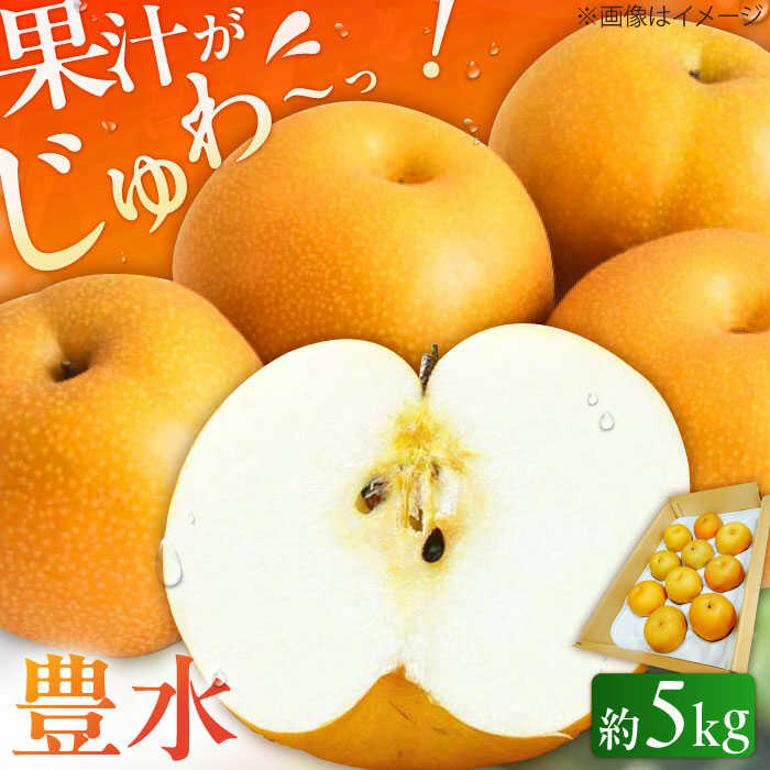 【★先行予約★ 2026年8月下旬より発送】梨(豊水) 約5kg　広川町 / JAふくおか八女農産物直売所どろや[AFAB023]