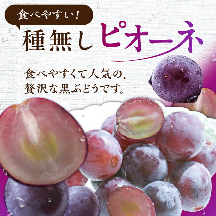 【ふるさと納税】【★先行予約★ 2026年7月中旬より発送】ピオーネ 約1.4kg　広川町 / JAふくおか八女農産物直売所どろや[AFAB047] サムネイル3