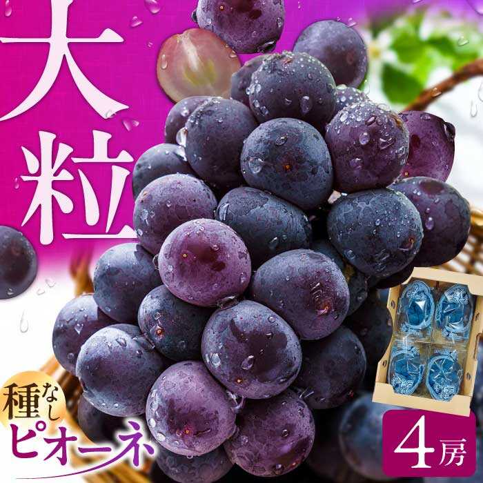 【★先行予約★ 2026年7月中旬より発送】ピオーネ 約1.4kg　広川町 / JAふくおか八女農産物直売所どろや[AFAB047]