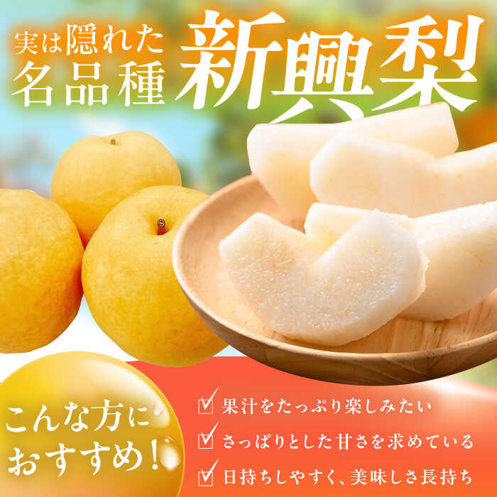 【ふるさと納税】【★先行予約★ 2026年10月上旬より発送】梨（新興）約5kg 広川町 / JAふくおか八女農産物直売所どろや[AFAB059] サムネイル2