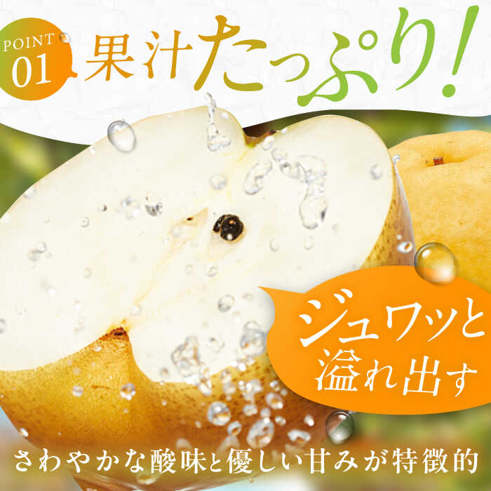 【ふるさと納税】【★先行予約★ 2026年10月上旬より発送】梨（新興）約5kg 広川町 / JAふくおか八女農産物直売所どろや[AFAB059] サムネイル3