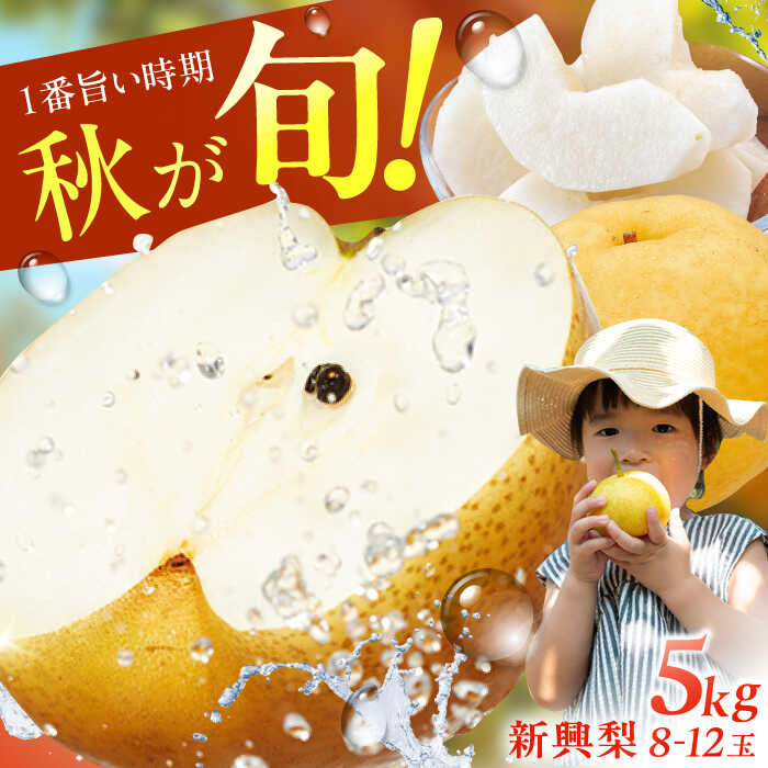【★先行予約★ 2026年10月上旬より発送】梨（新興）約5kg 広川町 / JAふくおか八女農産物直売所どろや[AFAB059]