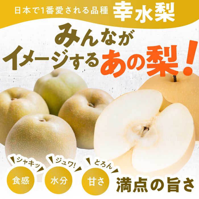 【ふるさと納税】【★先行予約★ 2026年7月下旬より発送】梨（幸水）約5kg なし ナシ 果物 フルーツ 広川町 / JAふくおか八女農産物直売所どろや[AFAB060] サムネイル2