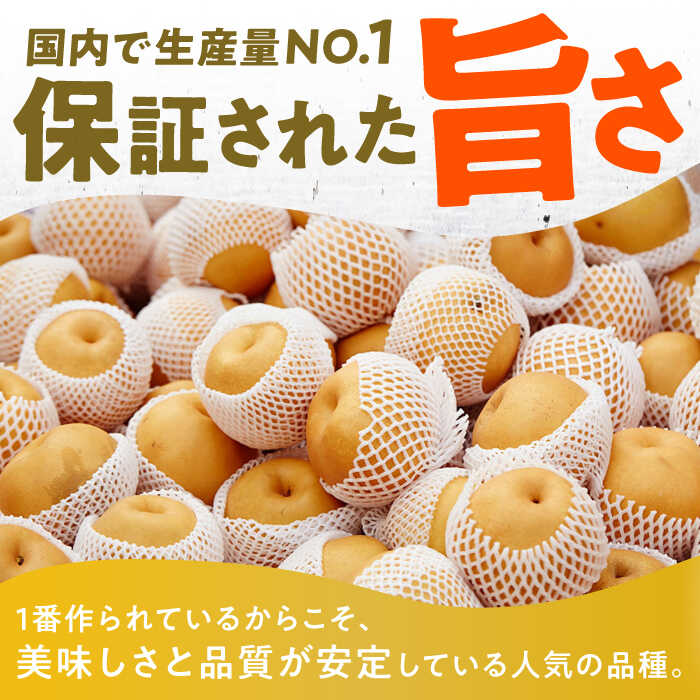 【ふるさと納税】【★先行予約★ 2026年7月下旬より発送】梨（幸水）約5kg なし ナシ 果物 フルーツ 広川町 / JAふくおか八女農産物直売所どろや[AFAB060] サムネイル3