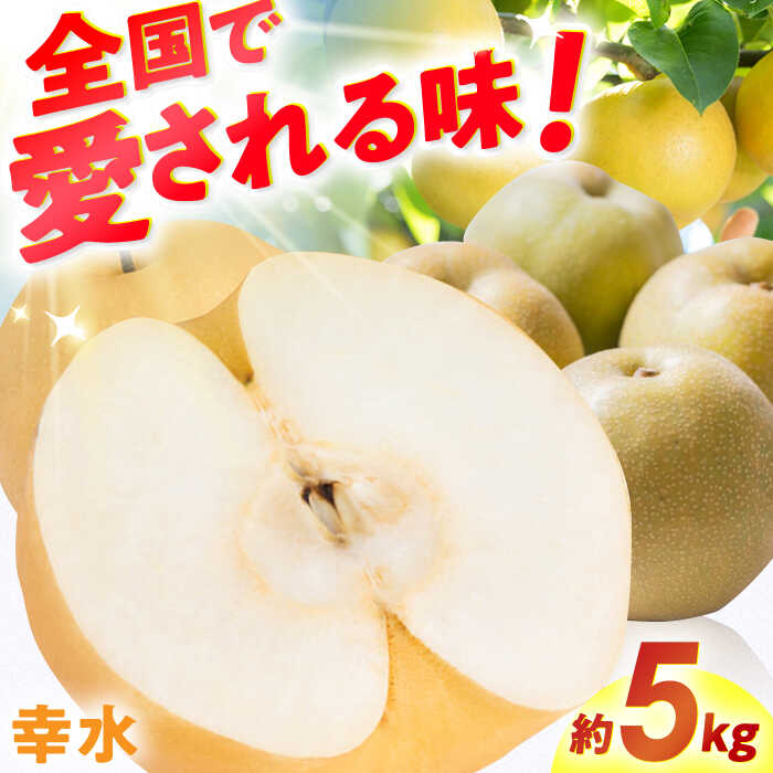 【★先行予約★ 2026年7月下旬より発送】梨（幸水）約5kg なし ナシ 果物 フルーツ 広川町 / JAふくおか八女農産物直売所どろや[AFAB060]
