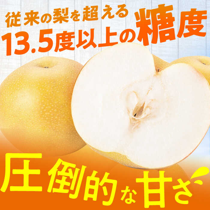 【ふるさと納税】【★先行予約★　2026年9月中旬より発送】梨（甘太）約5kg 広川町 / JAふくおか八女農産物直売所どろや[AFAB061] サムネイル2