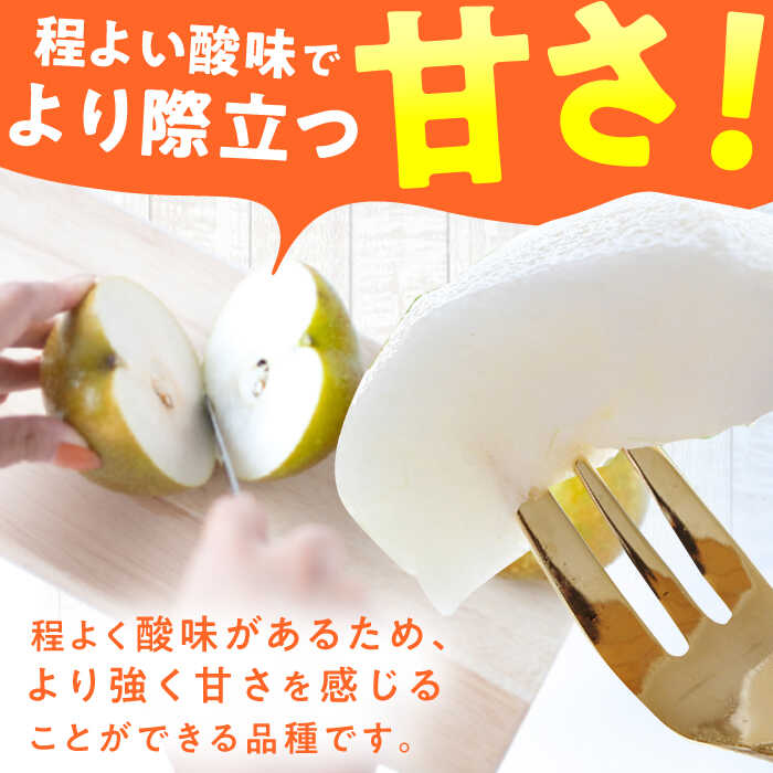 【ふるさと納税】【★先行予約★　2026年9月中旬より発送】梨（甘太）約5kg 広川町 / JAふくおか八女農産物直売所どろや[AFAB061] サムネイル3