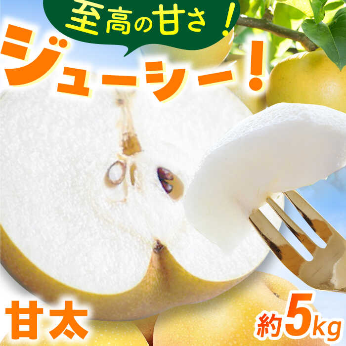 【★先行予約★　2026年9月中旬より発送】梨（甘太）約5kg 広川町 / JAふくおか八女農産物直売所どろや[AFAB061]