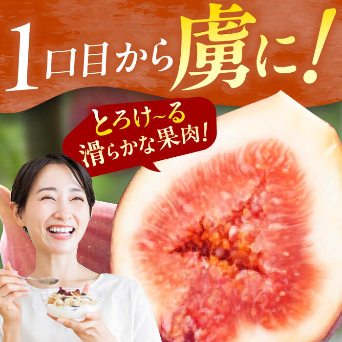 【ふるさと納税】【★先行予約★　2026年9月上旬より発送】とよみつひめ 約1.2kg(300g×4パック) 広川町/JAふくおか八女農産物直売所どろや[AFAB067] サムネイル2