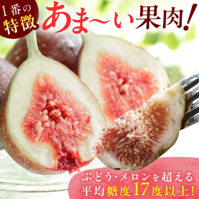 【ふるさと納税】【★先行予約★　2026年9月上旬より発送】とよみつひめ 約1.2kg(300g×4パック) 広川町/JAふくおか八女農産物直売所どろや[AFAB067] サムネイル3