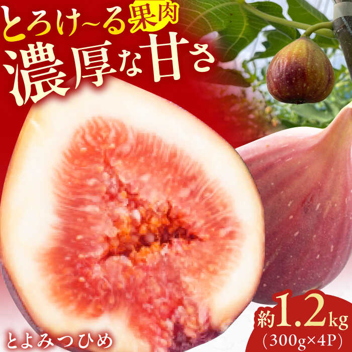 【★先行予約★　2026年9月上旬より発送】とよみつひめ 約1.2kg(300g×4パック) 広川町/JAふくおか八女農産物直売所どろや[AFAB067]