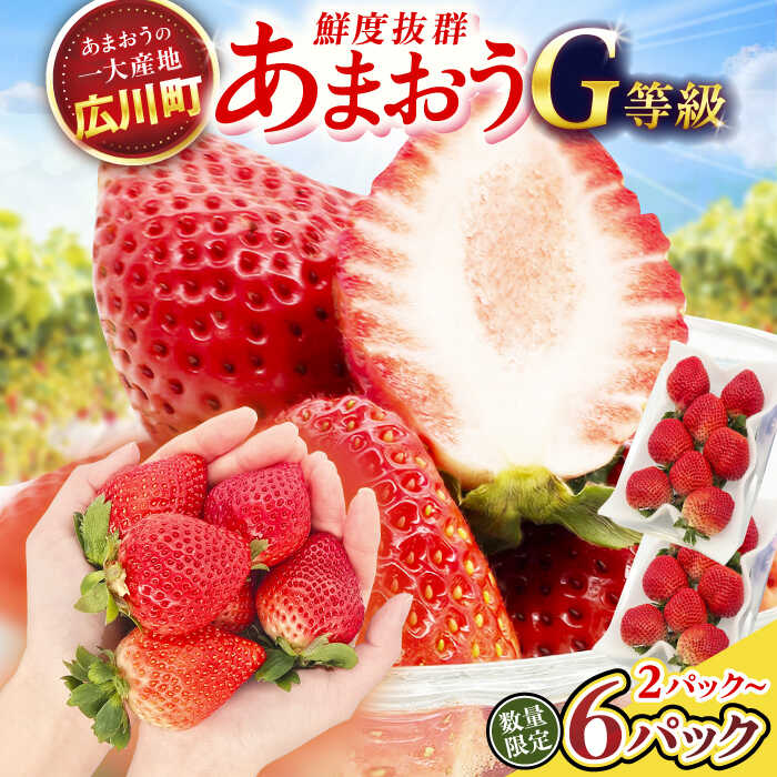 【★先行予約★　2026年2月より発送】【選べる回数×ケース数】あまおうG等級 1回or2回 / 1ケース-3ケース 広川町 / JAふくおか八女農産物直売所どろや[AFAB069]