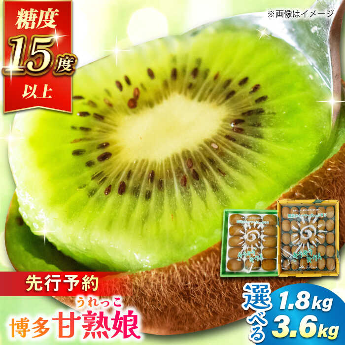 【★先行予約★ 2026年1月中旬より発送】〈選べる容量〉博多甘熟娘(うれっこ) ヘイワードキウイ 約1.8kg（15玉）～約3.6kg（30玉） キウイ きうい フルーツ 果物 健康 朝食 くだもの 広川町 / JAふくおか八女農産物直売所どろや[AFAB076]