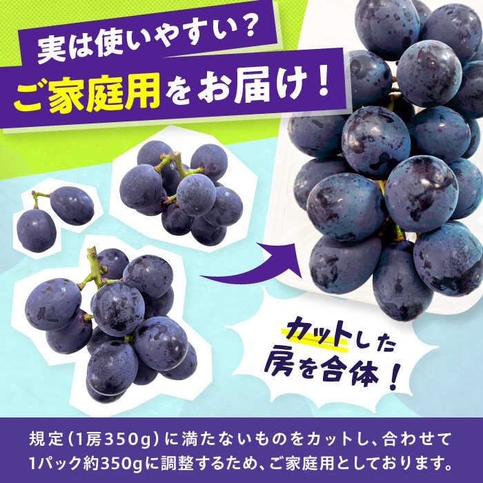 【ふるさと納税】【★先行予約★ 2026年7月下旬より発送】【ご家庭用】種無し巨峰　約350g×4パック　広川町 / JAふくおか八女農産物直売所どろや[AFAB086] サムネイル2