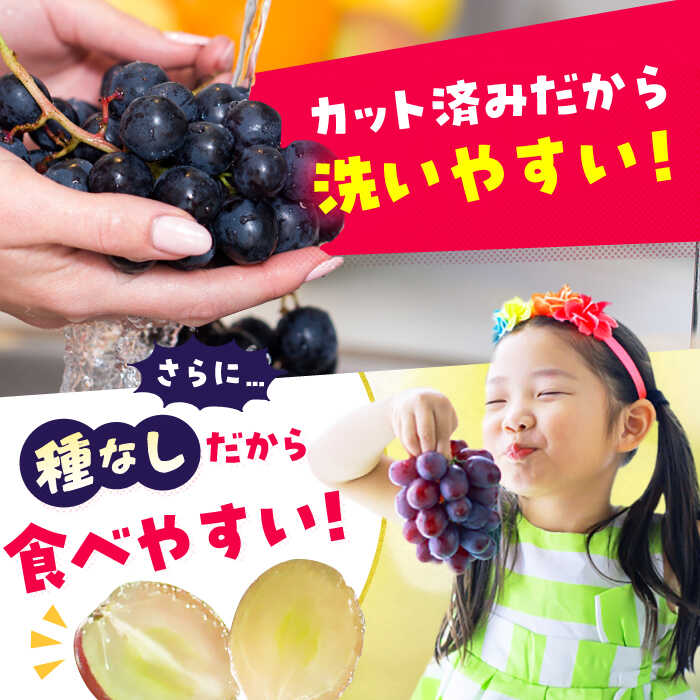 【ふるさと納税】【★先行予約★ 2026年7月下旬より発送】【ご家庭用】種無し巨峰　約350g×4パック　広川町 / JAふくおか八女農産物直売所どろや[AFAB086] サムネイル3