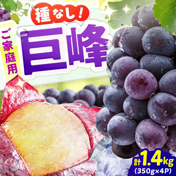 【★先行予約★ 2026年7月下旬より発送】【ご家庭用】種無し巨峰　約350g×4パック　広川町 / JAふくおか八女農産物直売所どろや[AFAB086]
