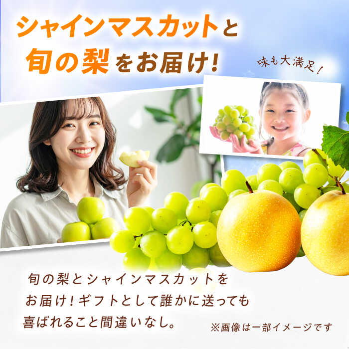 【ふるさと納税】フルーツ詰合せ（シャインマスカット3パック&amp;梨3個）　広川町 / JAふくおか八女農産物直売所どろや[AFAB088] サムネイル2