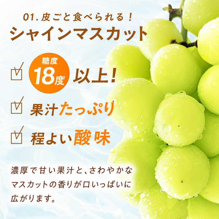 【ふるさと納税】フルーツ詰合せ（シャインマスカット3パック&amp;梨3個）　広川町 / JAふくおか八女農産物直売所どろや[AFAB088] サムネイル3