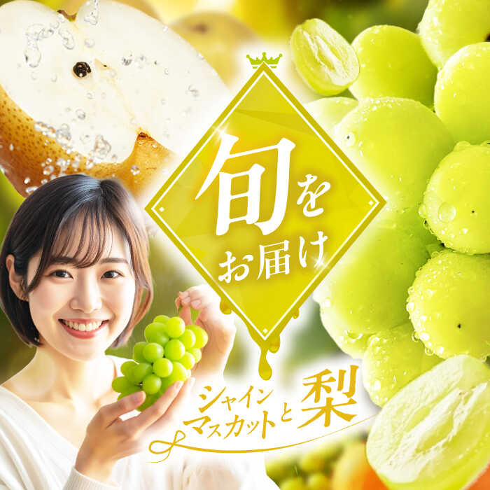 フルーツ詰合せ（シャインマスカット3パック&amp;梨3個）　広川町 / JAふくおか八女農産物直売所どろや[AFAB088]