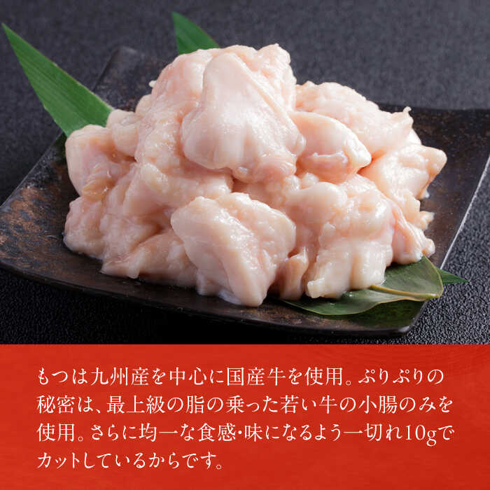 【ふるさと納税】博多もつ鍋おおやま もつ鍋 みそ・しょうゆ食べ比べセット 各2人前 ちゃんぽん麺付　広川町 / 株式会社ラブ[AFAX005] サムネイル3