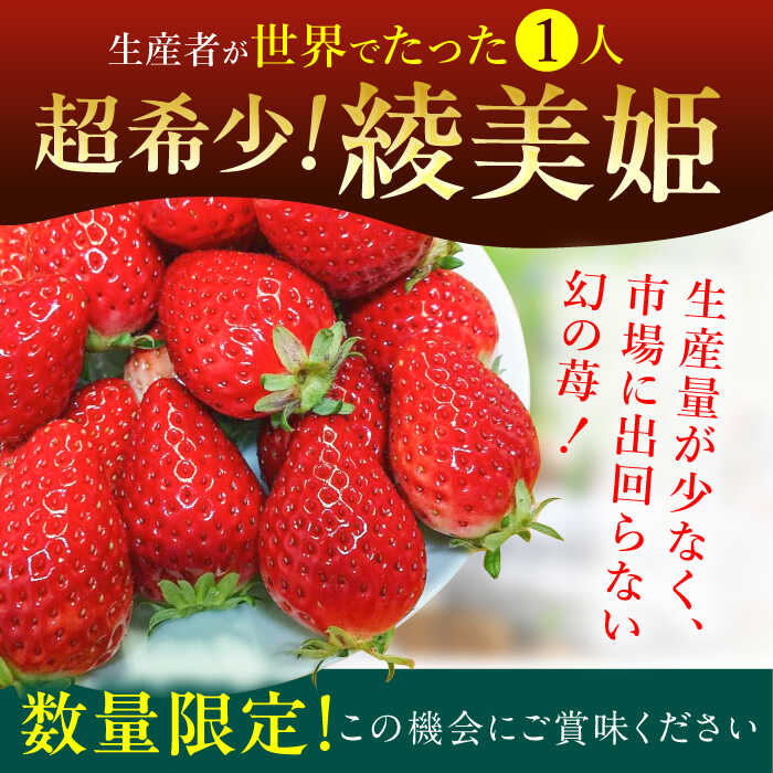 【ふるさと納税】【先行予約 2026年2月より発送】 〈幻のイチゴ〉綾美姫270g×2 広川町 / 石川農園[AFCC001] サムネイル2