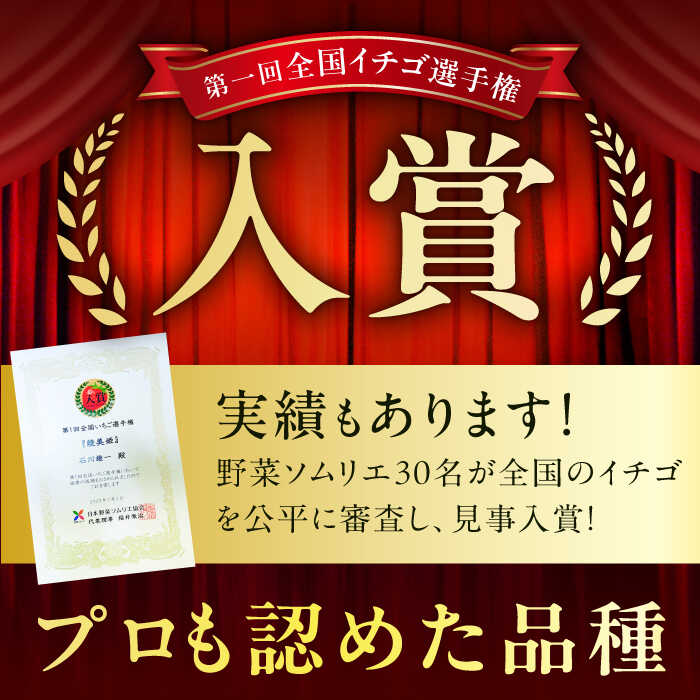【ふるさと納税】【先行予約 2026年2月より発送】 〈幻のイチゴ〉綾美姫270g×2 広川町 / 石川農園[AFCC001] サムネイル3